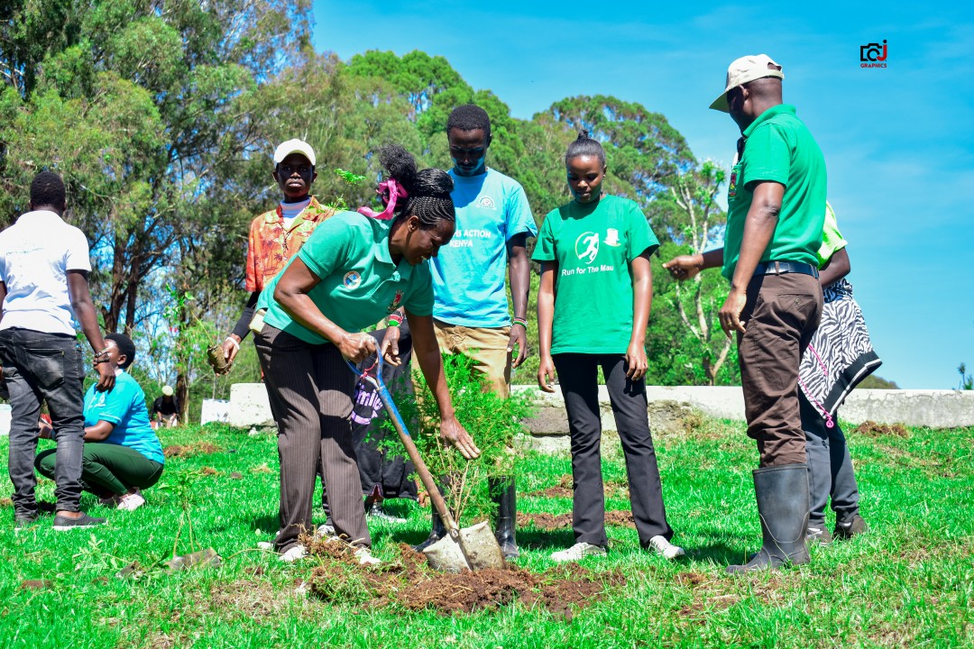 NGO Project Photo 1